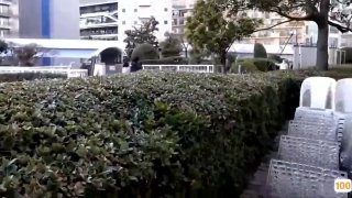 美女真实勾引正在打篮球的两个小男孩到车上做爱这算是诱骗吗